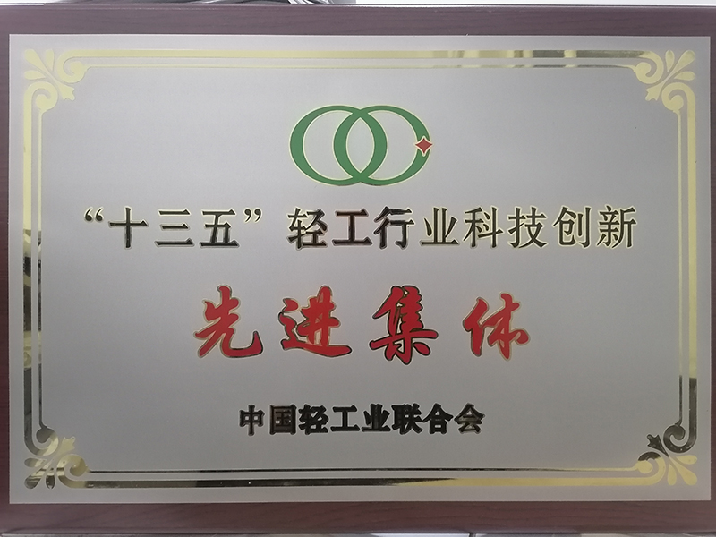 十三五轻工行业科技创新先进集体
